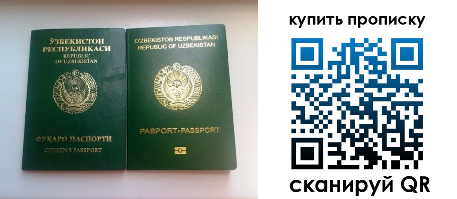 прописка в квартире в Калмыкии